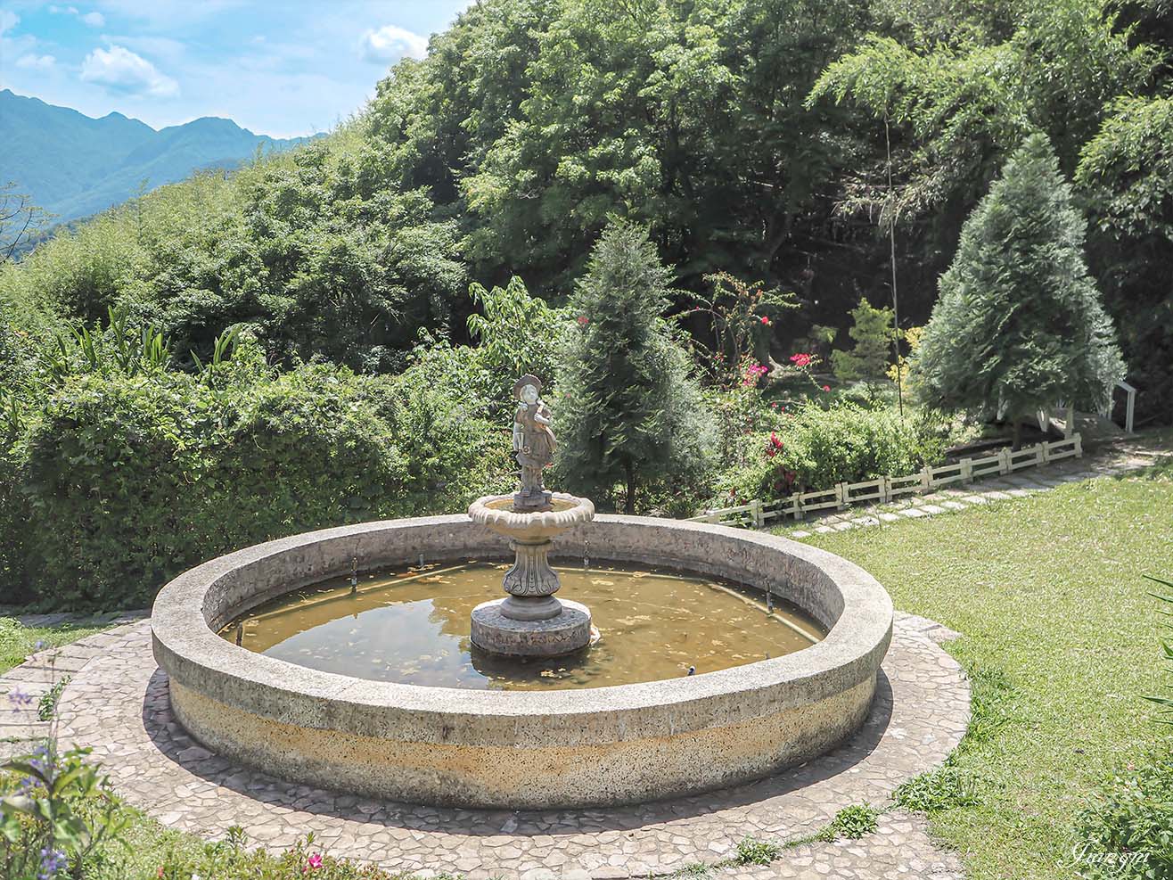 桃園繡球花｜普拉多山丘假期、不限時、無邊際山景，寵物友善