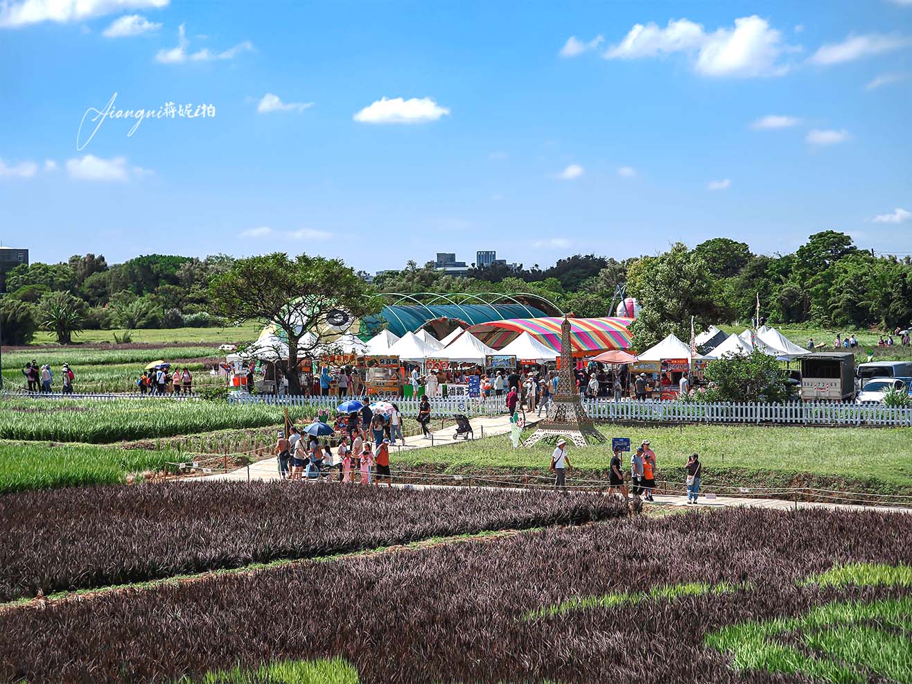 全台最大彩繪稻田在桃園 1.2萬坪五色稻田 田園派對 免費參觀 接駁車