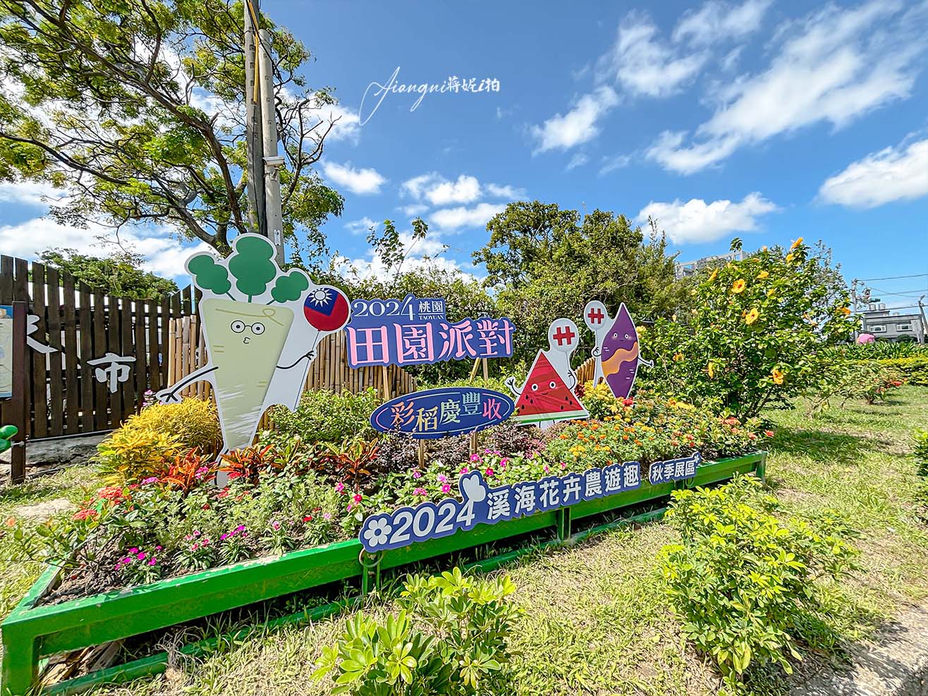 全台最大彩繪稻田在桃園 1.2萬坪五色稻田 田園派對 免費參觀 接駁車