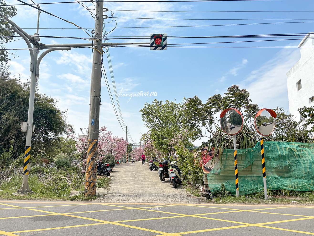 聖德路櫻花巷│市區爆紅富士櫻、交通攻略,中壢櫻花秘境,免費賞花 聖德路櫻花巷│市區爆紅富士櫻、交通攻略,中壢櫻花秘境,免費賞花