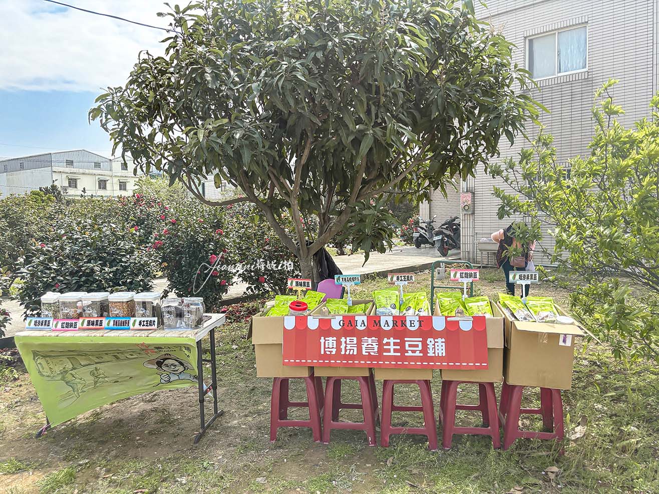 聖德路櫻花巷│市區爆紅富士櫻、交通攻略,中壢櫻花秘境,免費賞花 聖德路櫻花巷│市區爆紅富士櫻、交通攻略,中壢櫻花秘境,免費賞花