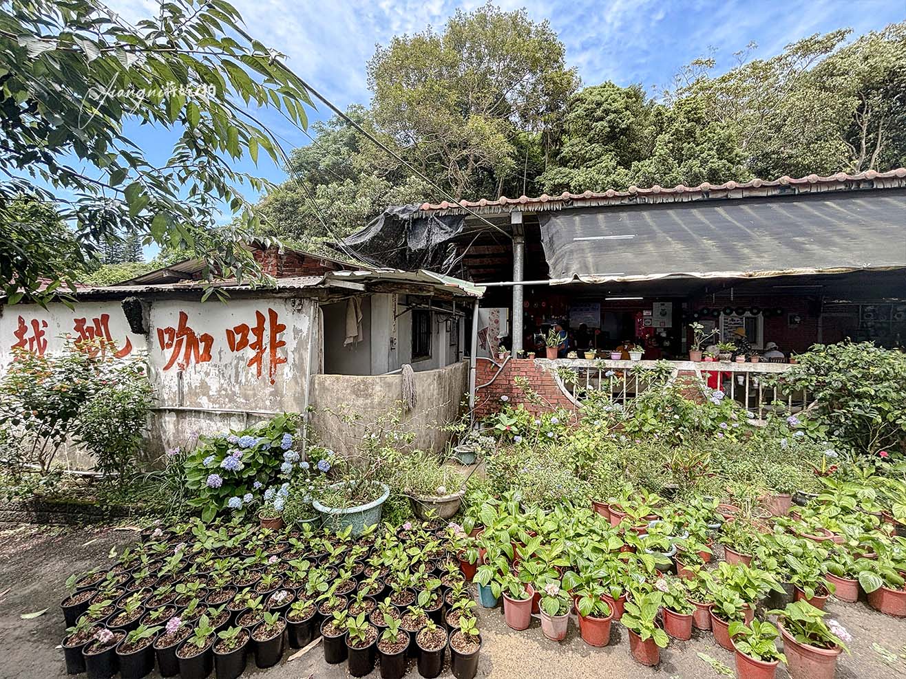 龍潭繡球花秘境│穧粑崠咖啡農場，免門票、夢幻南洋風繡球花海、手沖咖啡，越軌咖啡