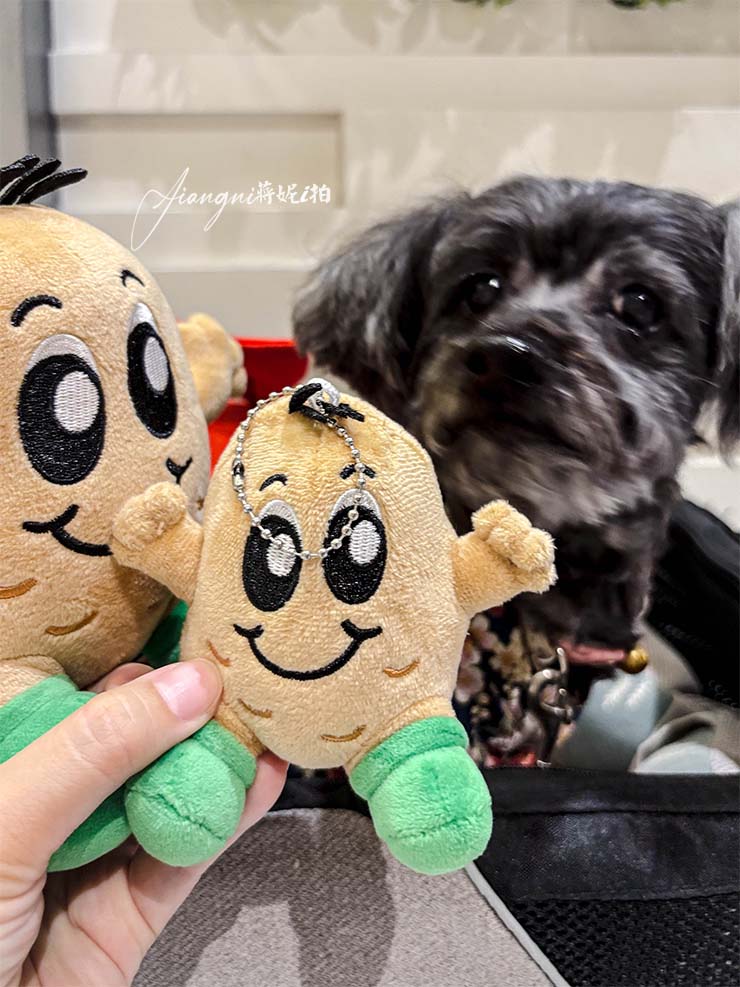 Potato Corner桃園大江店 地表最強薯條 每人限購兩份 菜單 排隊攻略