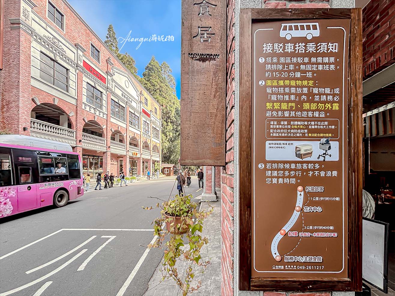 杉林溪楓葉季 波波草新亮點 楓葉倒影 免費遊園車 寵物友善