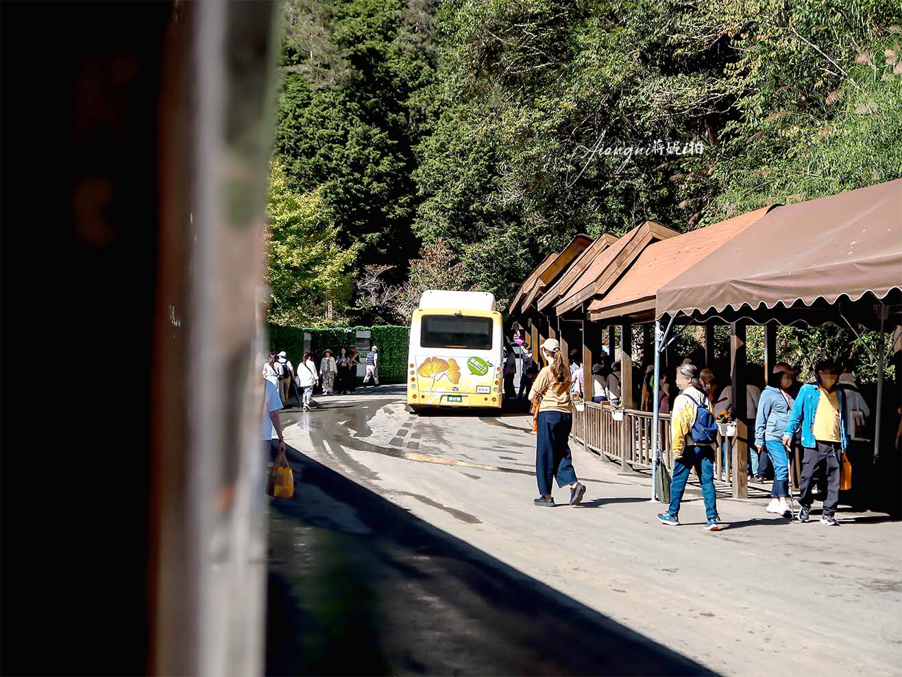 杉林溪楓葉季 波波草新亮點 楓葉倒影 免費遊園車 寵物友善
