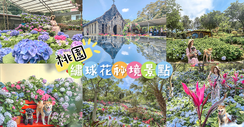 龍潭繡球花秘境│穧粑崠咖啡農場，免門票、夢幻南洋風繡球花海、手沖咖啡，越軌咖啡