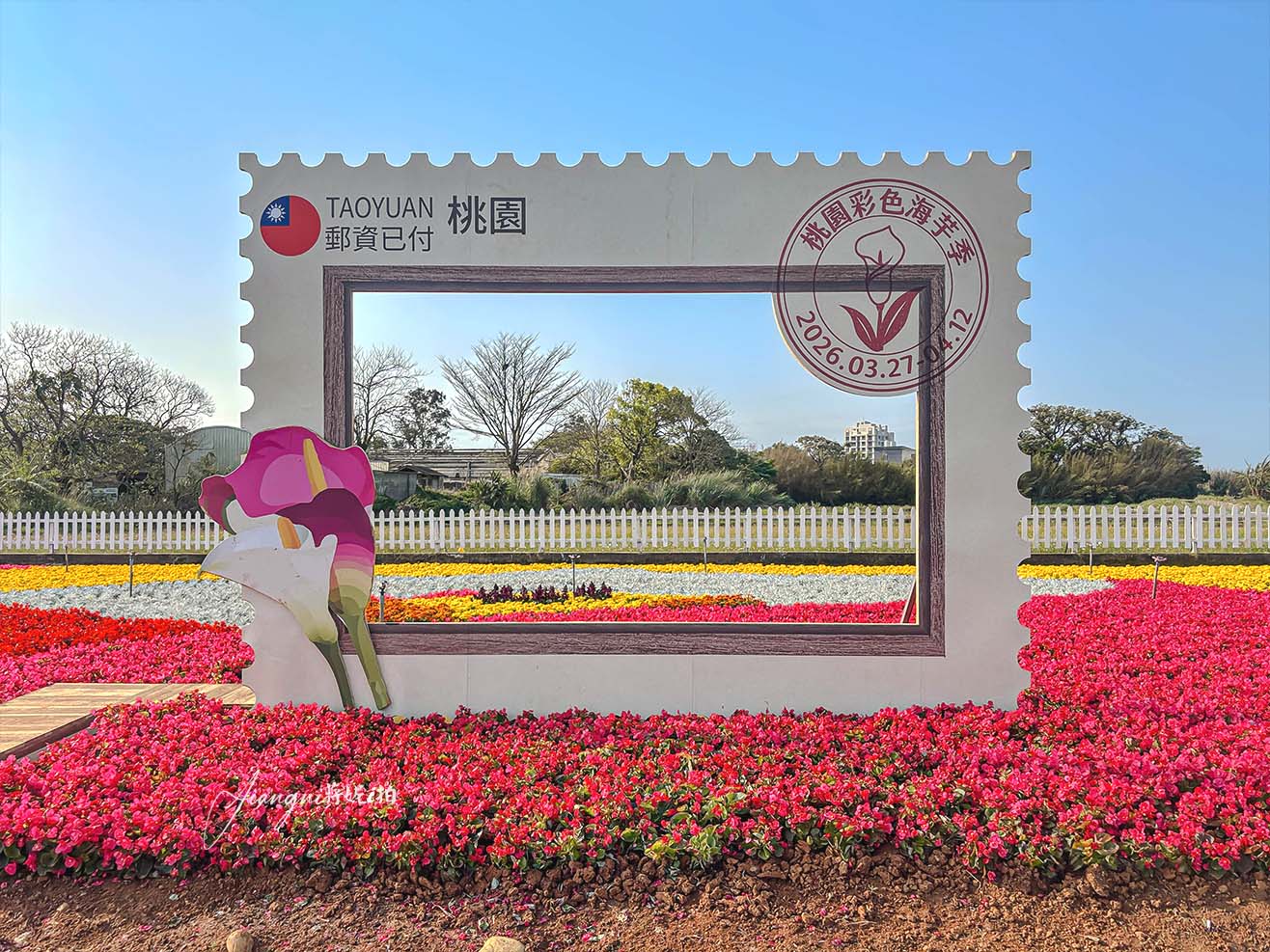 2026桃園彩色海芋季│交通攻略、接駁車、園夢奇芋記，免門票、寵物友善
