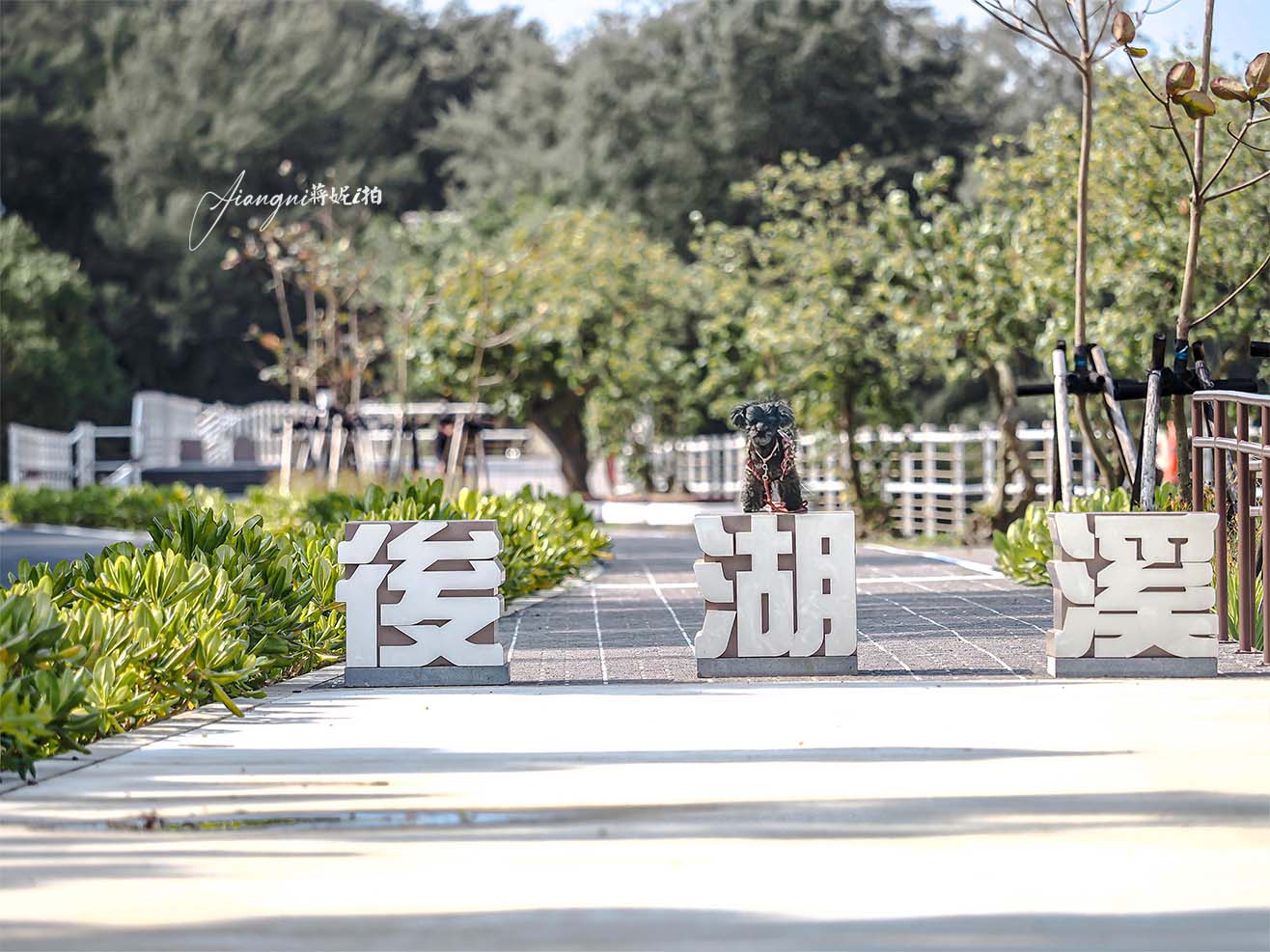 後湖溪生態園區│桃園SUP、獨木舟、體驗時段，不限時舟日咖啡，寵物友善