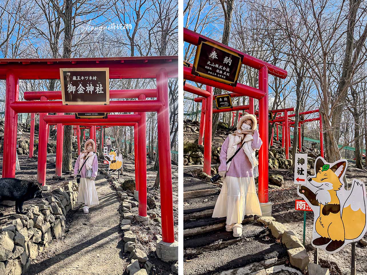 宮城藏王狐狸村│抱狐狸體驗&場次、狐狸村門票、交通、接駁巴士、計程車全攻略