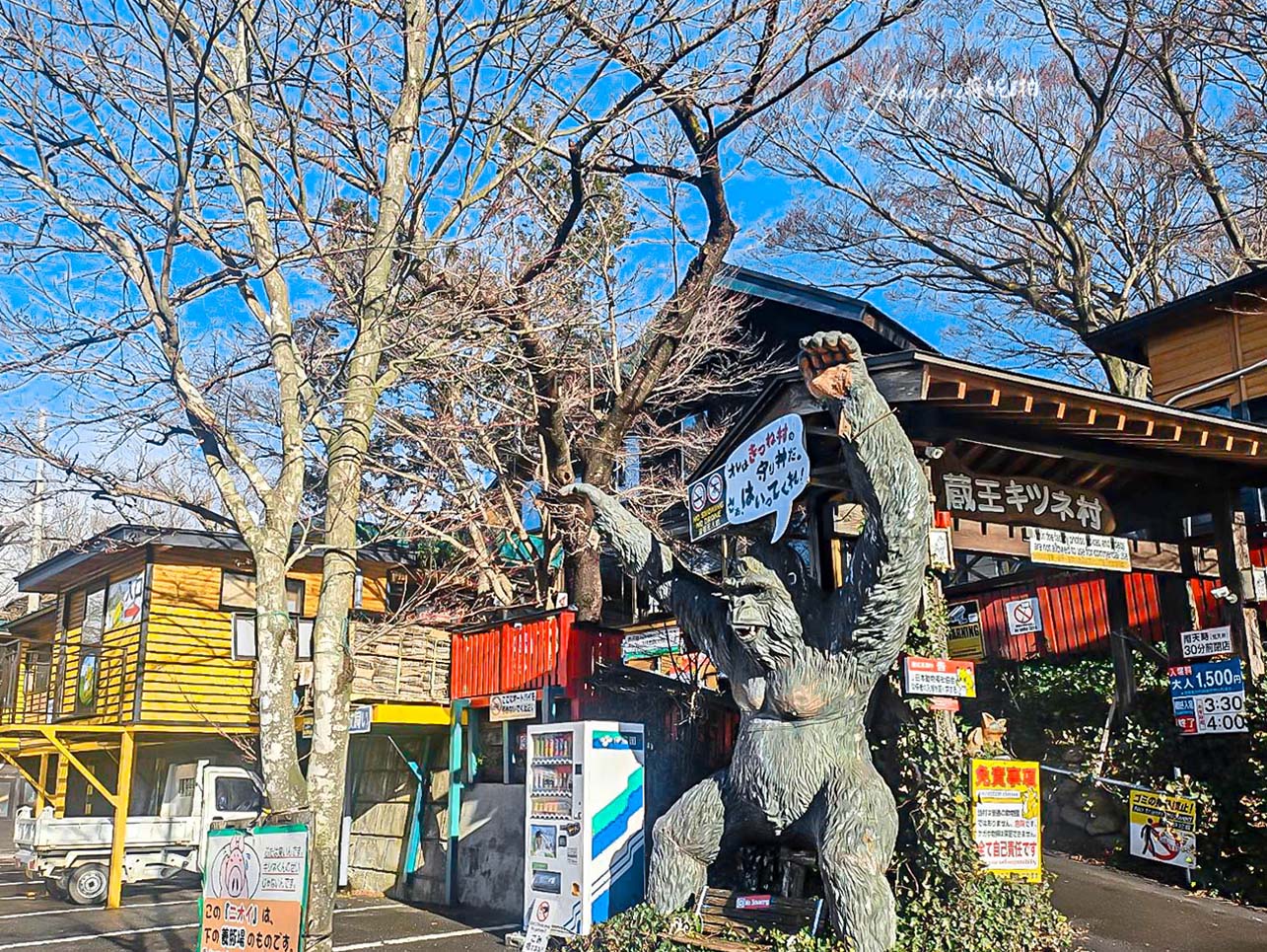 宮城藏王狐狸村│抱狐狸體驗&場次、狐狸村門票、交通、接駁巴士、計程車全攻略