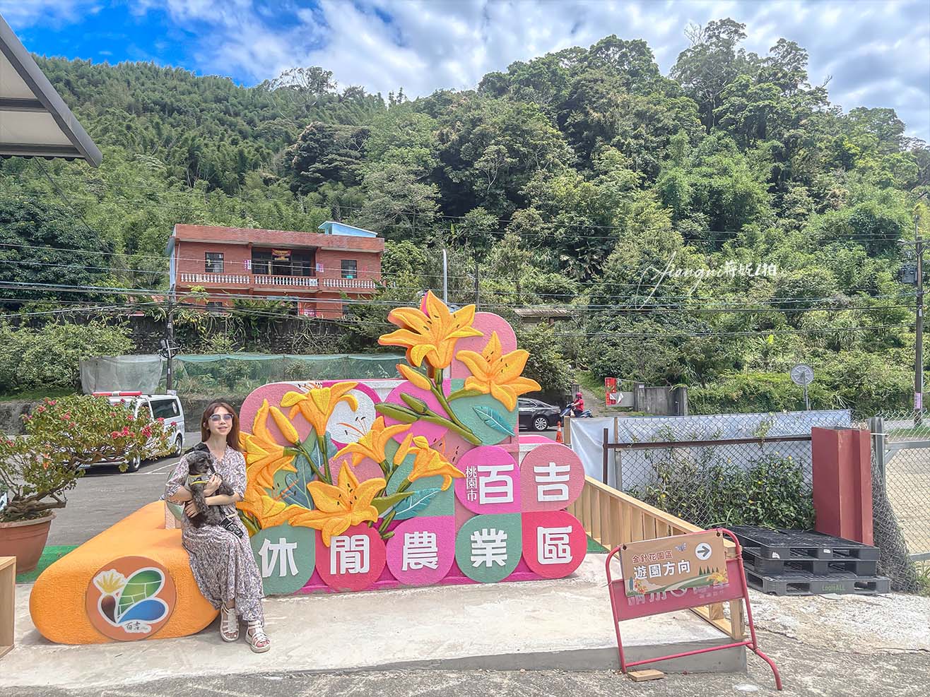 桃園金針花季│10萬株金針花海、桃園百吉休閒農場，北台灣最大金針花、寵物友善