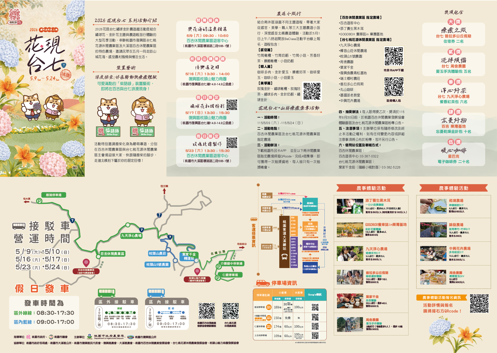 桃園金針花季│10萬株金針花海、桃園百吉休閒農場，北台灣最大金針花、寵物友善