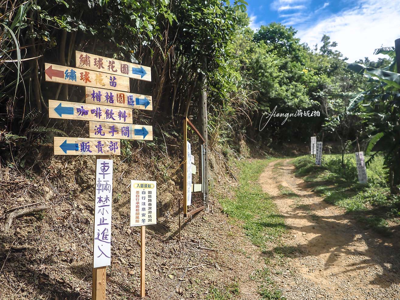 龍潭繡球花秘境│穧粑崠咖啡農場，免門票、夢幻南洋風繡球花海、手沖咖啡，越軌咖啡